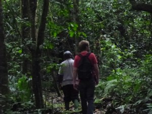 Kalinzu Forest Reserve